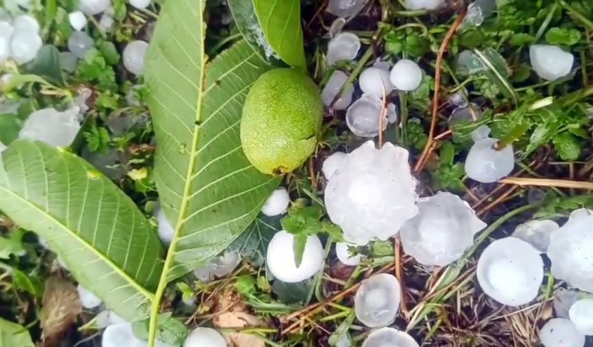 Mersin’de şiddetli dolu yağışı etkili oldu