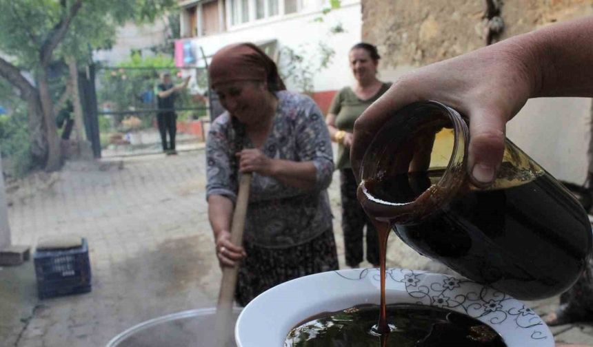 Anadolu’nun yüzlerce yıllık sırrı: Tek kaşığı bile kansızlığı bitiriyor