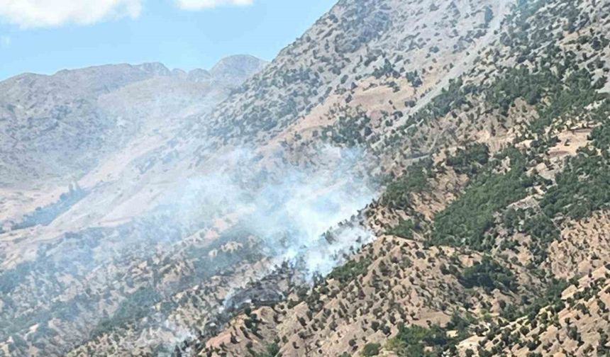 Bingöl’deki orman ve arazi yangınları söndürüldü