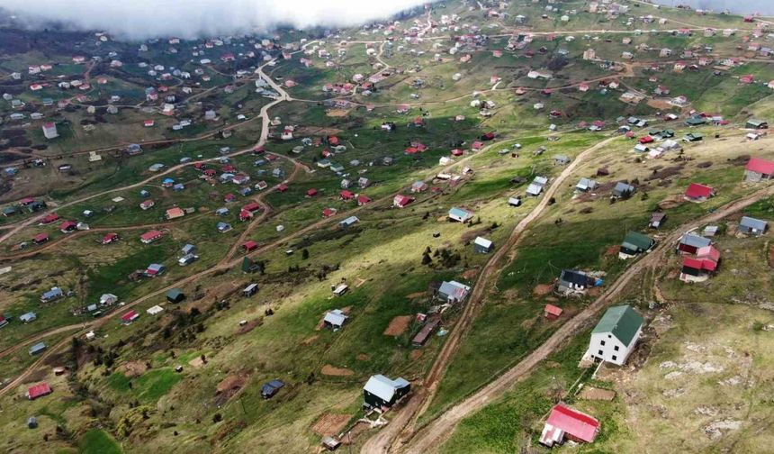 Doğu Karadeniz’deki yaylalar kaçak betonlaşma tehdidi altında