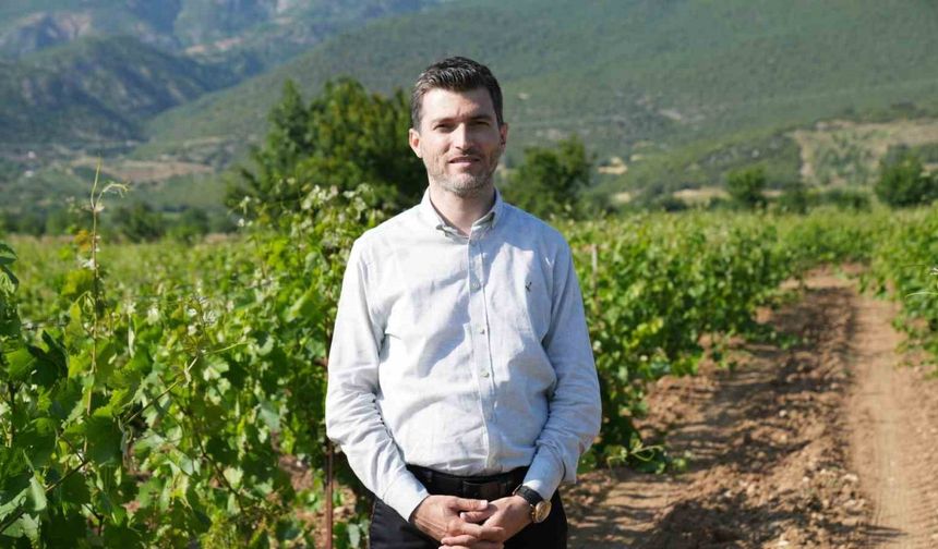 Don geciktirdi ama üretim düşmedi, yaprakta hedef 2 milyar liralık gelir