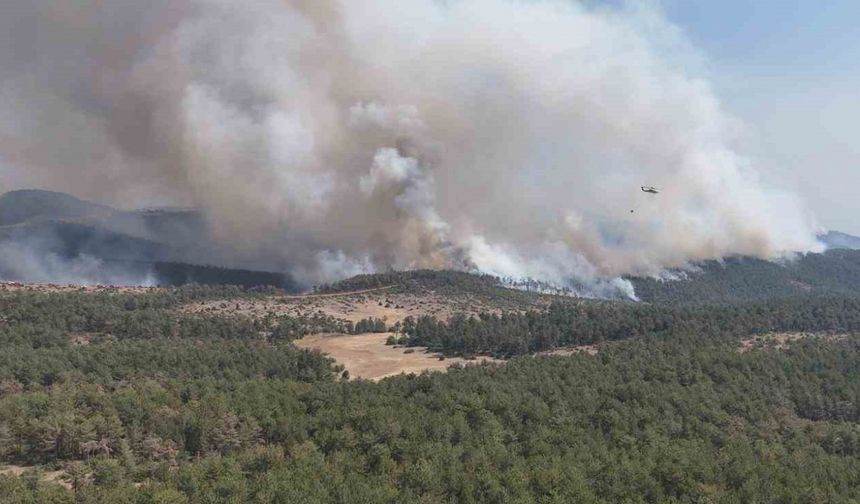 Harmancık Meyrandağı’ndaki yangın dronla böyle görüntülendi