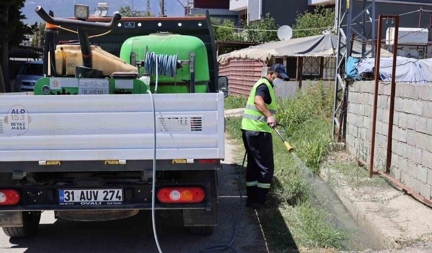 Hatay’da sinek ve haşerelere karşı mücadele 7 gün, 24 saat devam ediyor