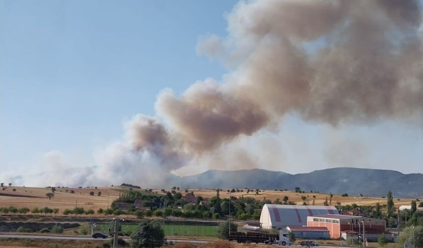 Kütahya’da orman yangını