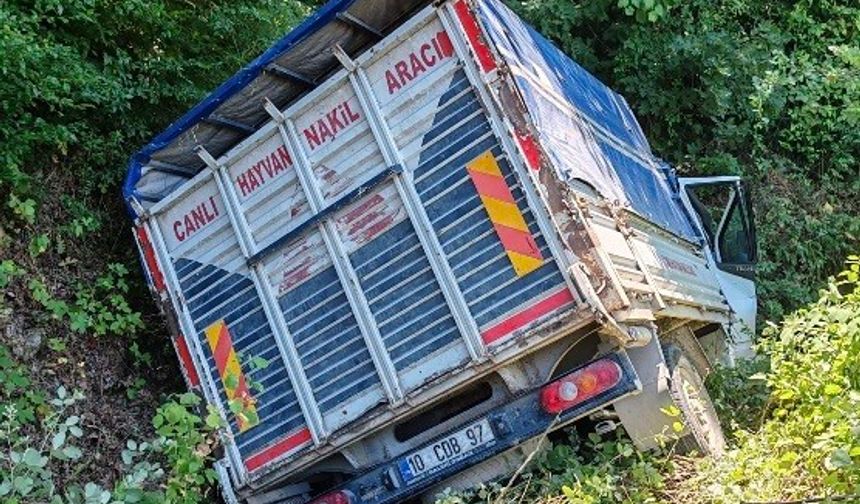 Manyas’ta trafik kazası: 1 yaralı