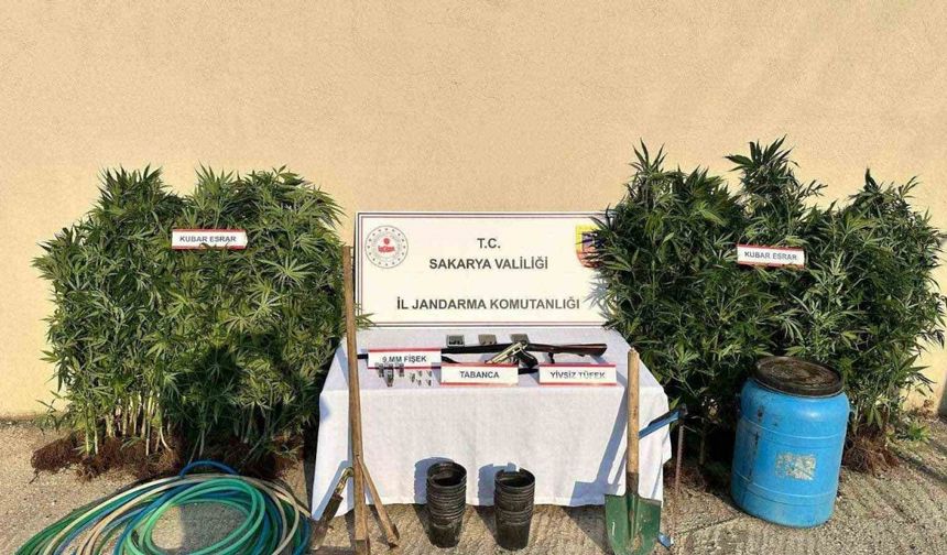Sakarya’da uyuşturucu operasyonu: 1 tutuklama