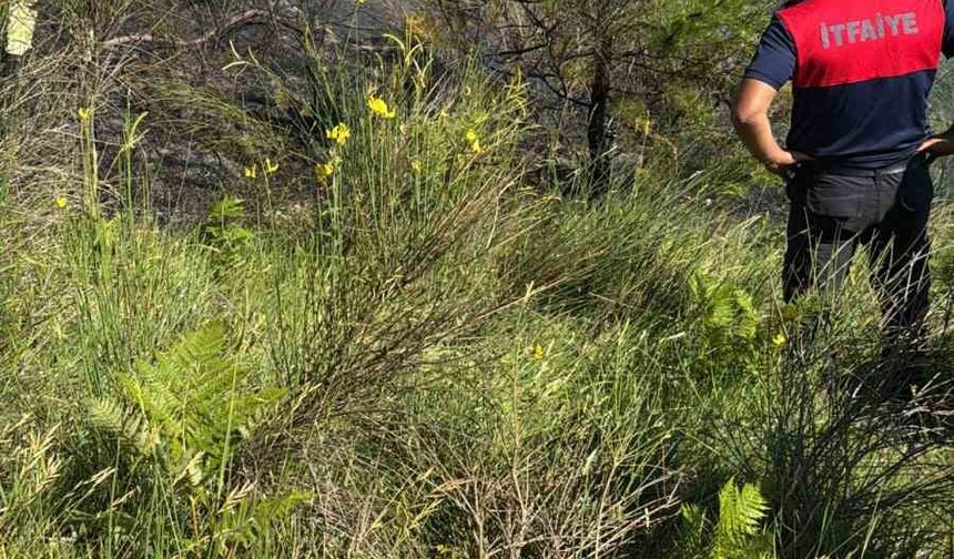 Sinop’ta çıkan orman yangını büyümeden söndürüldü