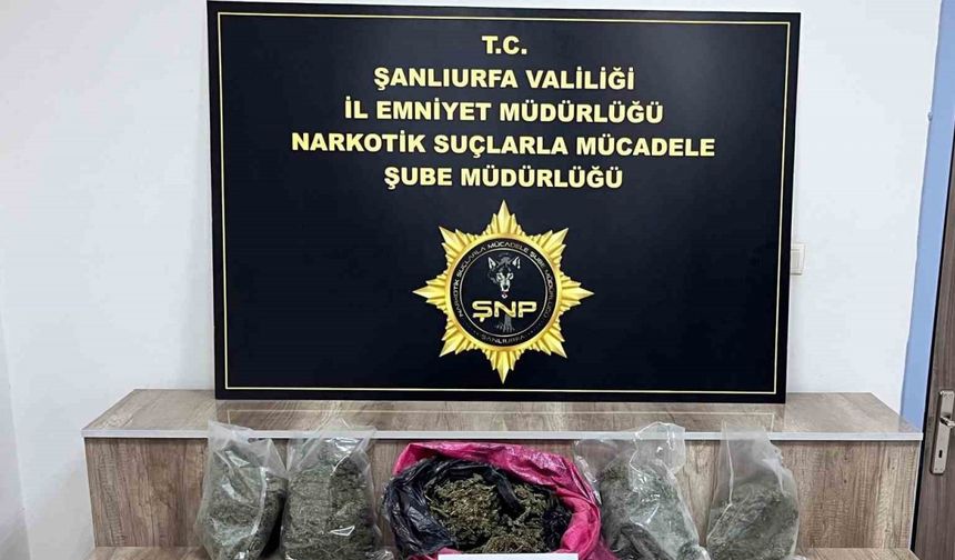 Siverek’te 7 kilo skunk ele geçirildi, 3 gözaltı