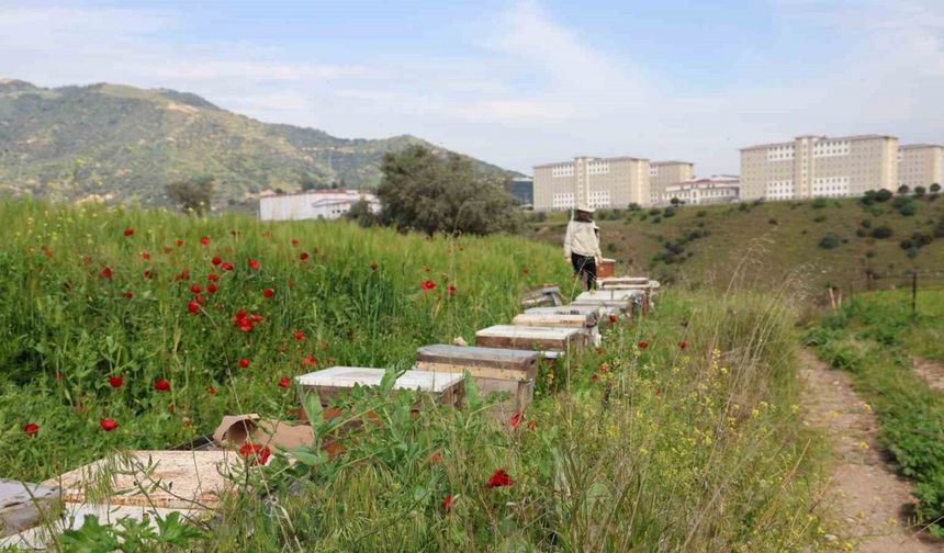 Sultanhisar İlçe Tarım ve Orman Müdürlüğü arıcıları uyardı
