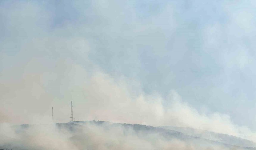 Uşak’ta tarım arazisinde başlayan yangın meşelik alana sıçradı