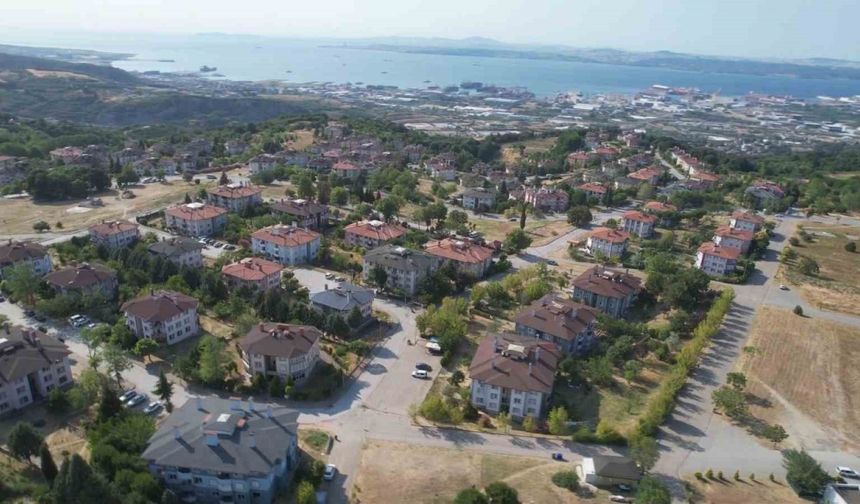 Yalova’da tepki çeken hayvan besleme yasağı