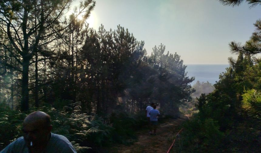 Zonguldak’ta çıkan yangında 7 dönümlük karaçam ormanı zarar gördü