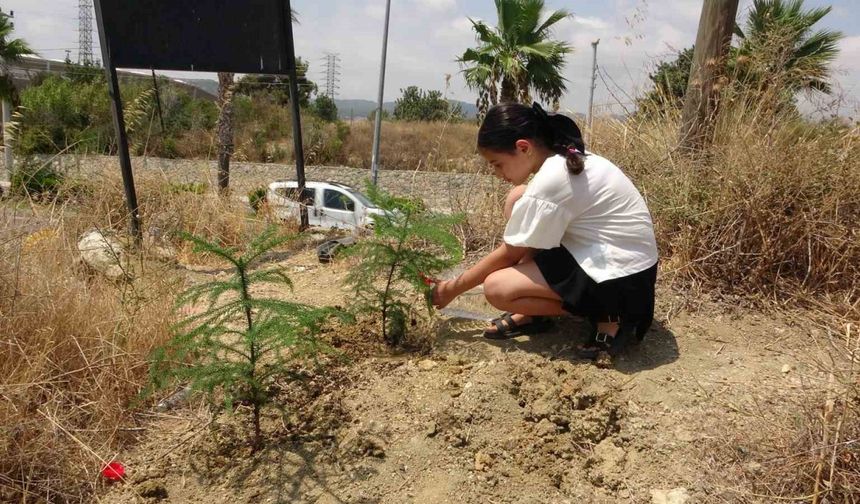 10 yaşındaki Elif’in fidan sevgisi hüsranla sonuçlandı