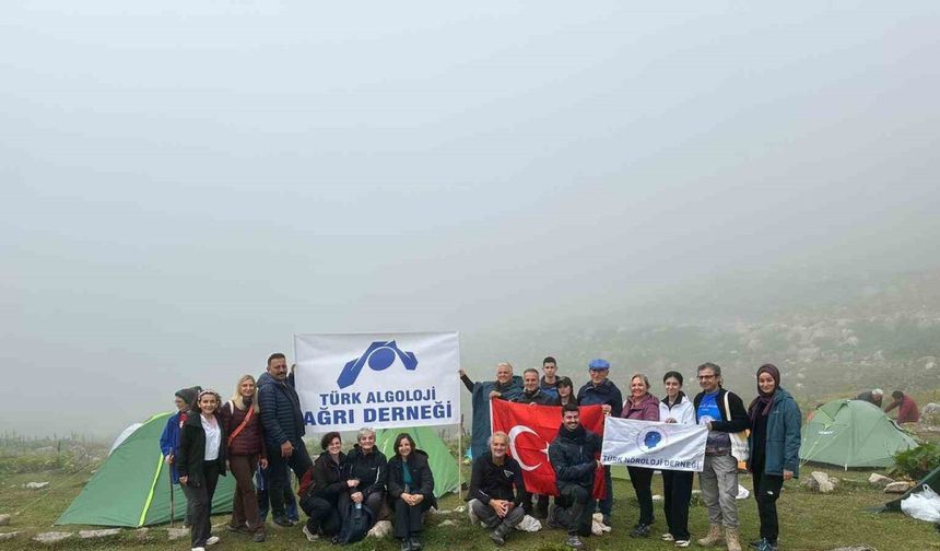 Ağrı tedavisinde farkındalık için zirveye yürüdüler