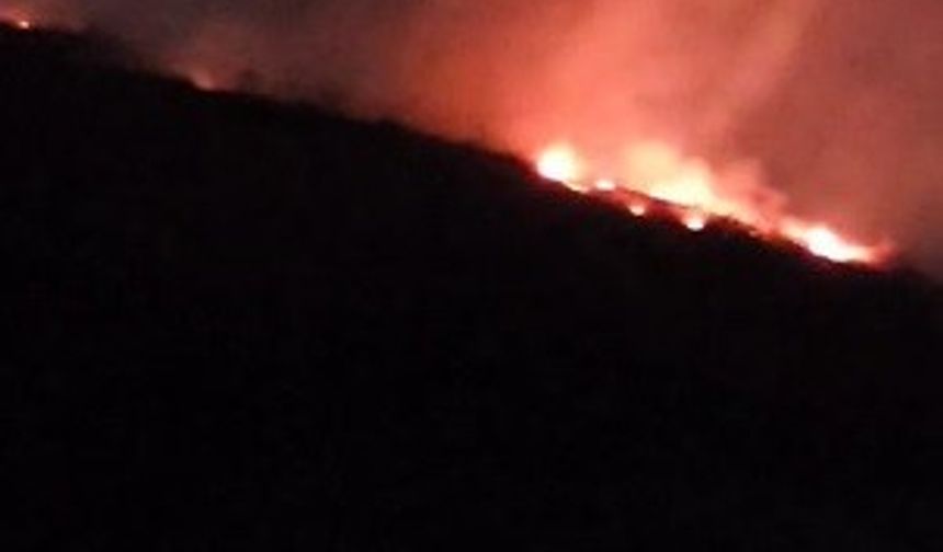 Hatay’da ormanlık alanda çıkan yangın büyümeden söndürüldü