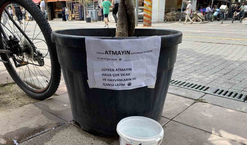 Hayvansever vatandaşın kibar uyarı yazısı görenleri gülümsetti