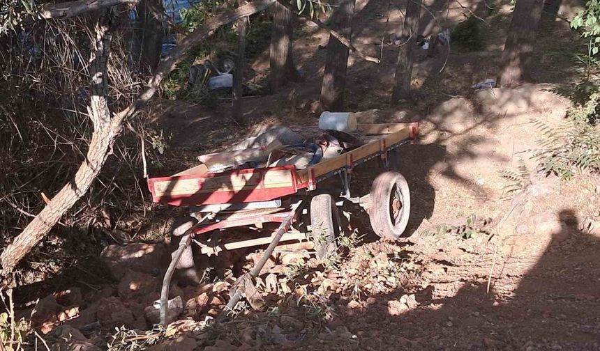 Karaman’da at arabası şarampole yuvarlandı: 4 yaralı