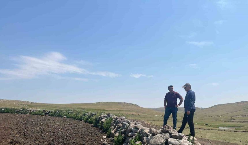 Kars’ta şap hastalığıyla mücadele sürüyor