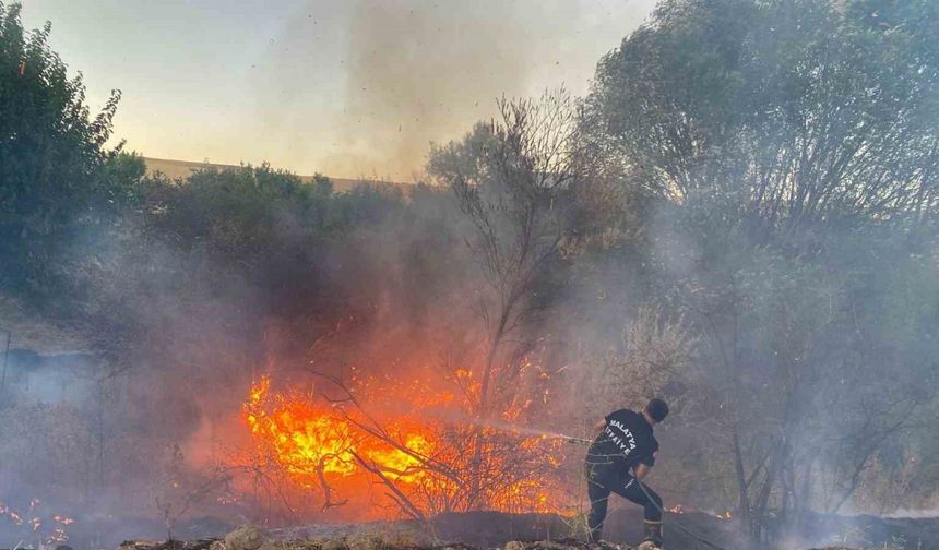 Malatya’da anız yangınında 50 dönümlük arazi zarar gördü