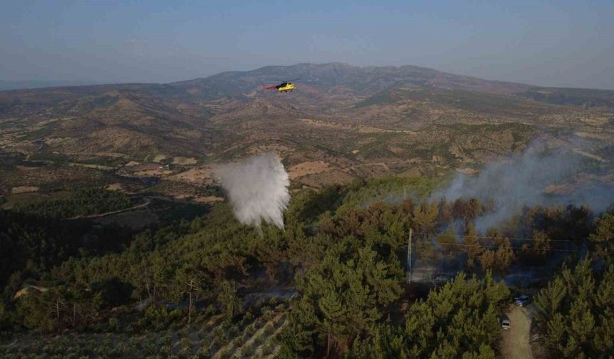 Manisa’daki yangında 5 hektarlık kızılçam ormanı zarar gördü