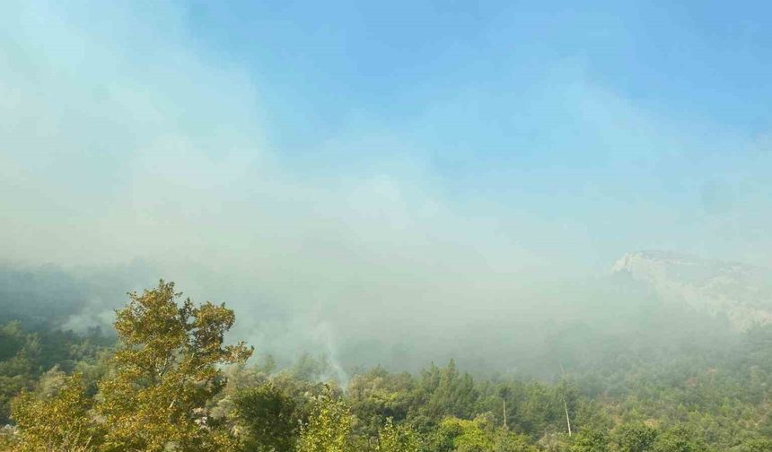 Mersin Anamur’daki orman yangını sürüyor, ekipler havadan ve karadan müdahale ediyor