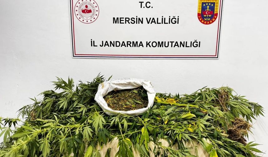 Mersin’de uyuşturucu operasyonu