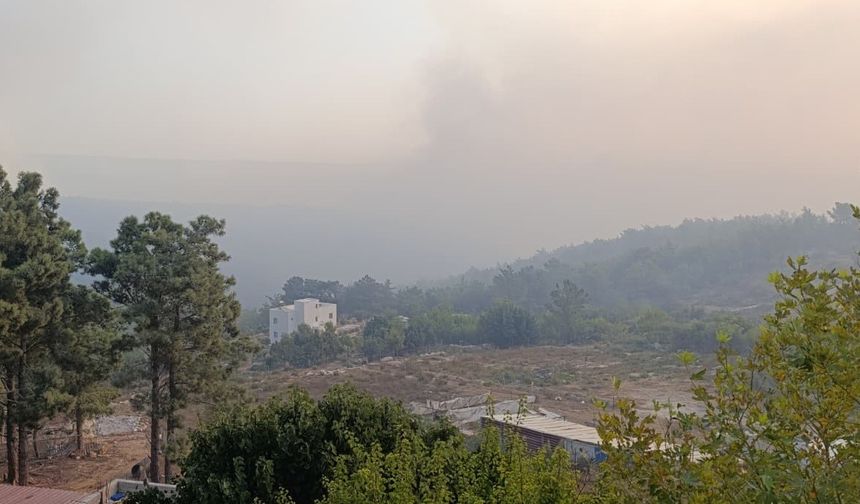 Mersin’deki orman yangını 2. gününde