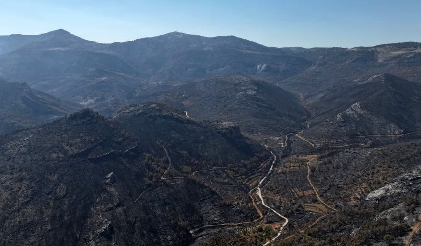 Orman yangınından geriye kalan acı manzara: 15 bin dönümden fazla alan küle döndü