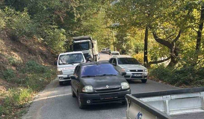 Alaplı’da yola devrilen ağaç, vatandaşlar  tarafından kaldırıldı
