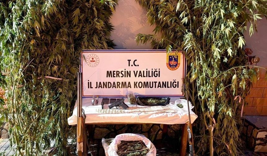 Mersin’de bahçelerine kenevir eken 3 şüpheli yakalandı