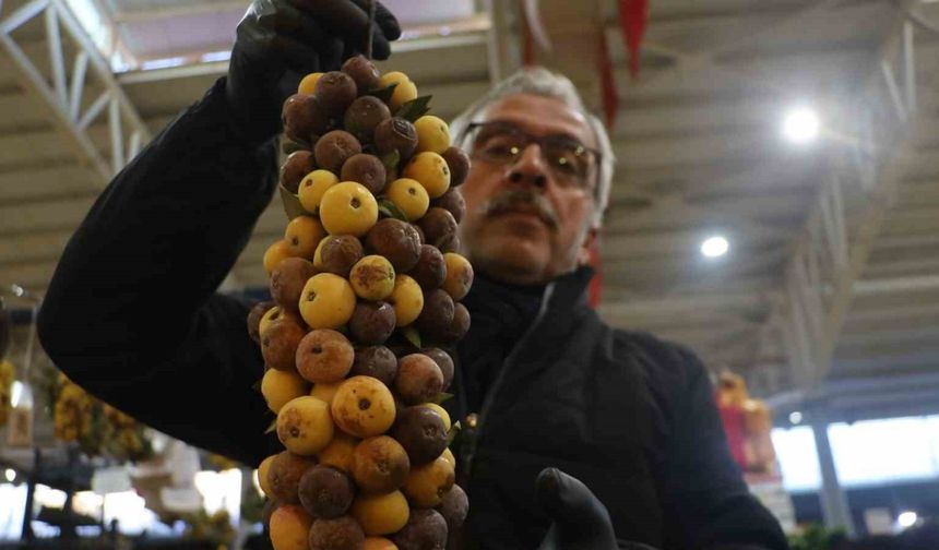 2 yılda bir yetişiyor, olgunlaşınca değil çürüyünce tüketiliyor