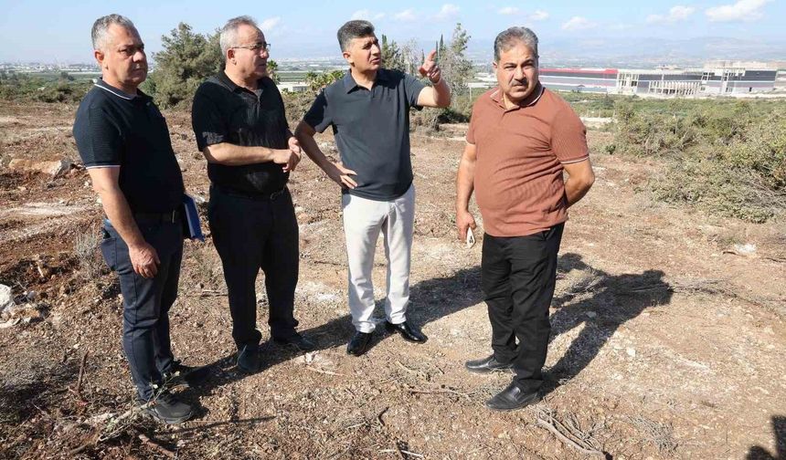 Akdeniz Belediyesinden sokak hayvanları için doğal yaşam alanı