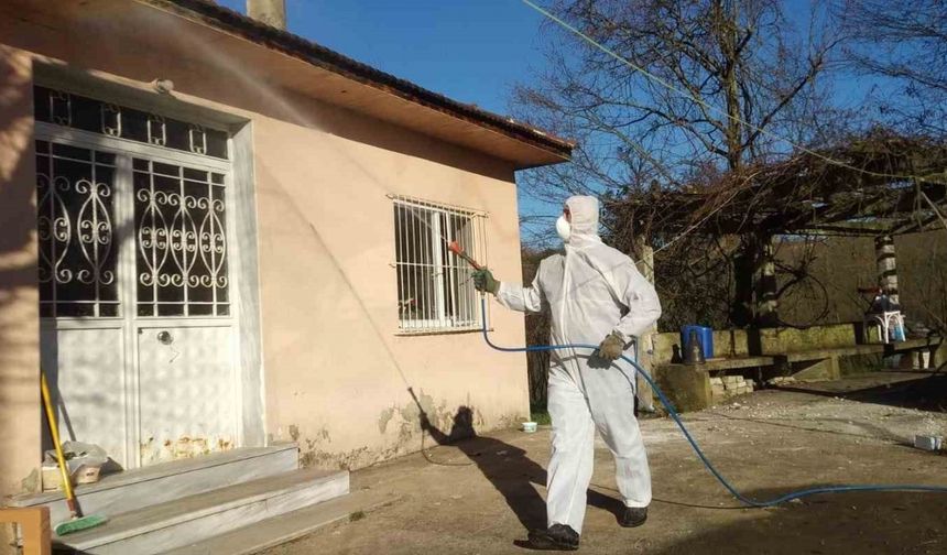 Düzce’de kahverengi kokarca ile kışlak mücadelesi devam ediyor