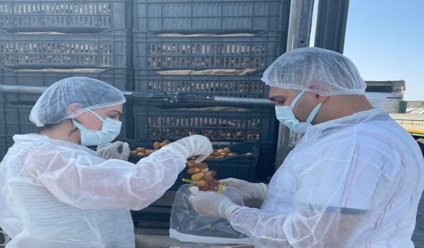 Habur Sınır Kapısında taze hurma ithalatına sıkı denetim