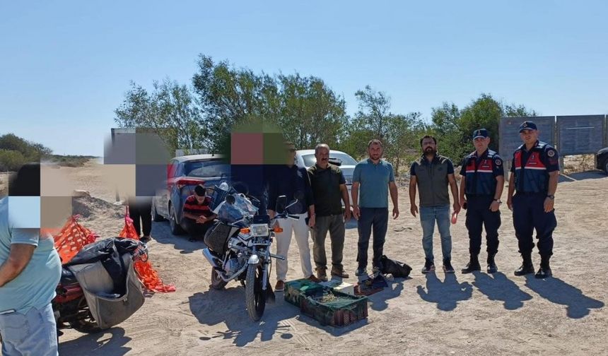 Mersin’de kaçak yırtıcı kuş avcılığı yapan 4 kişiye 143 bin lira ceza kesildi
