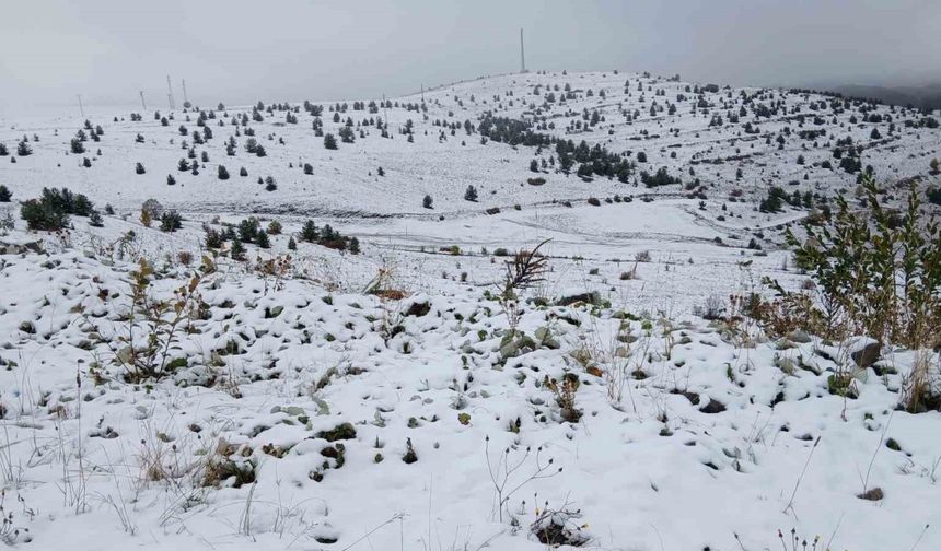 Posof’ta kar yağışı etkili oldu