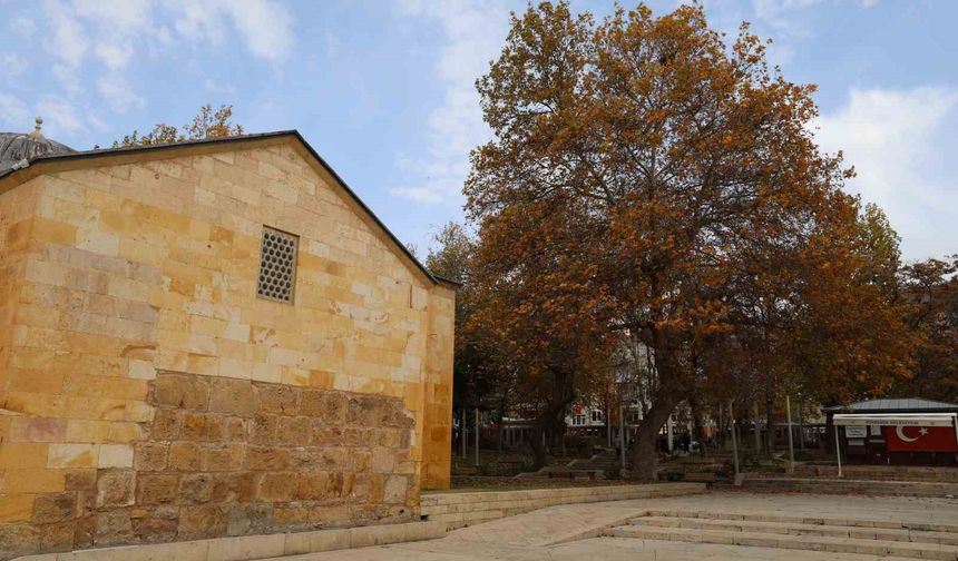 Ahi Evran Külliyesi'nde sonbahar güzelliği