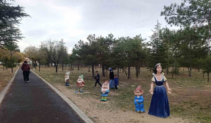 Bu da oldu: Pamuk Prensesin cücelerini çaldılar