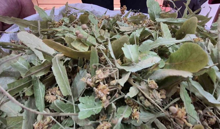 Geçen sene altınla yarışıyordu, bu yıl fiyatı düştü