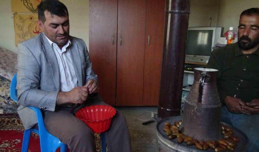 Gercüş'ün 'Doğu kestanesi': Organik meşe palamudu kış sofralarının vazgeçilmezi oluyor