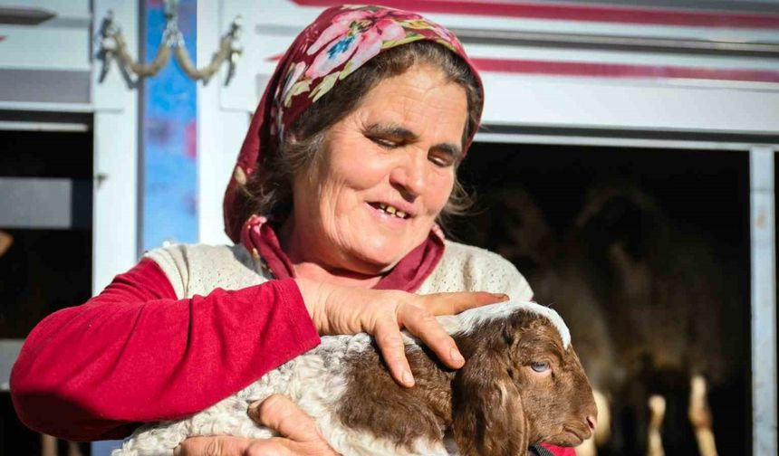 Mersin’de yem ve küçükbaş desteği üreticiyi güçlendiriyor