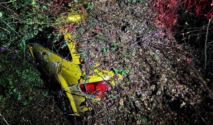 Sürücüsünün içinde olduğu otomobilin üzerine ağaç devrildi