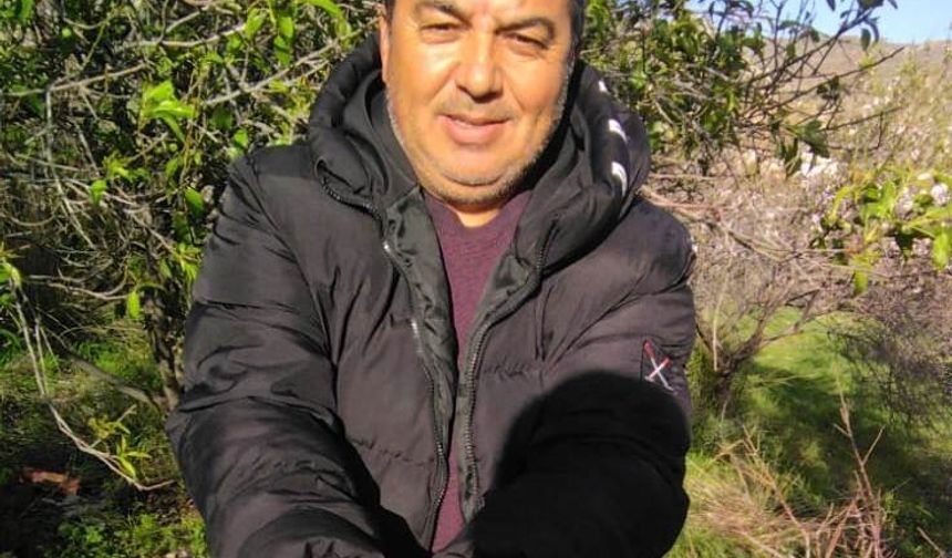 Kara kışta badem sürprizi