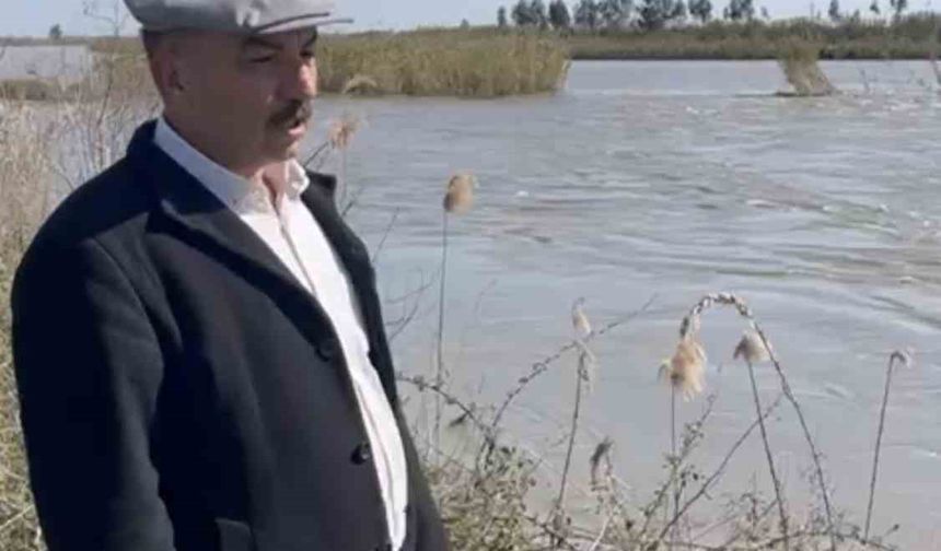 Seyhan Nehri taştı, Tarsus'ta bazı tarım arazileri sular altında kaldı