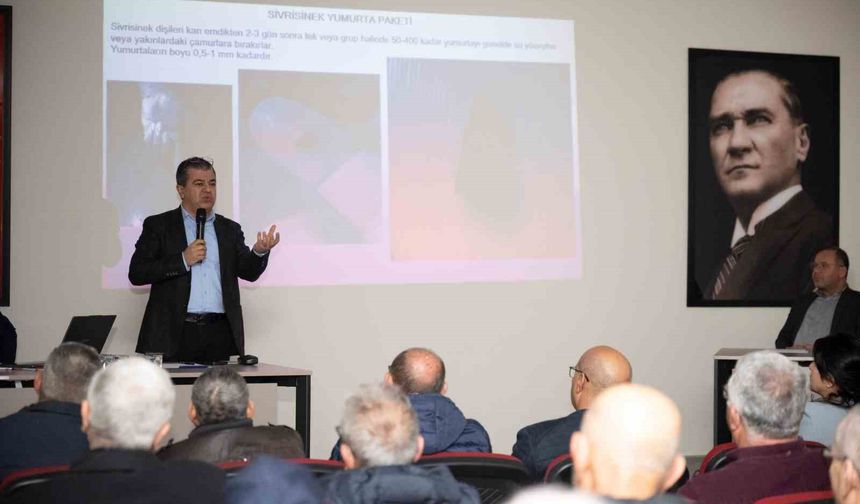 Silifke'de haşereyle mücadele için iş birliği çağrısı