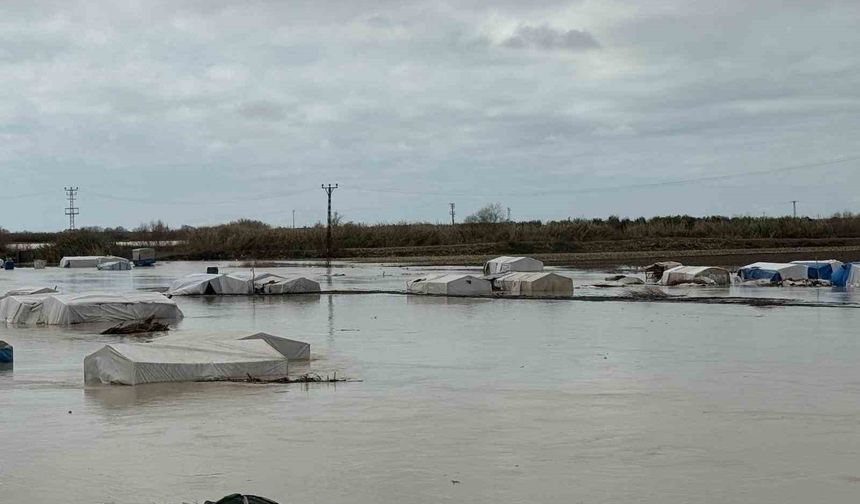 Tarsus'ta 8 bin dönüm tarım arazisi sular altında kaldı