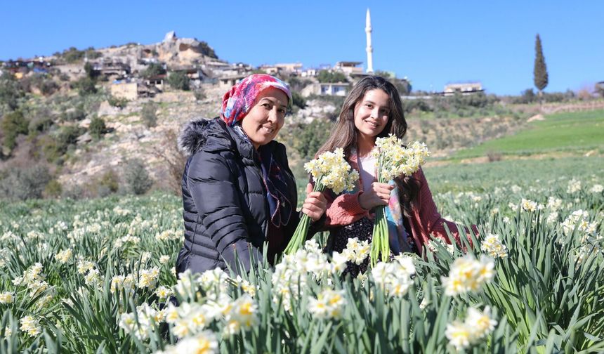 Büyükşehir’in Nergis Desteği Üreticinin Yüzünü Güldürdü