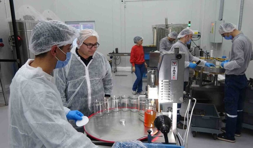 Geleneksel Arıcılık Teknolojiyle Buluştu: 40 Kişi İş Sahibi Oldu