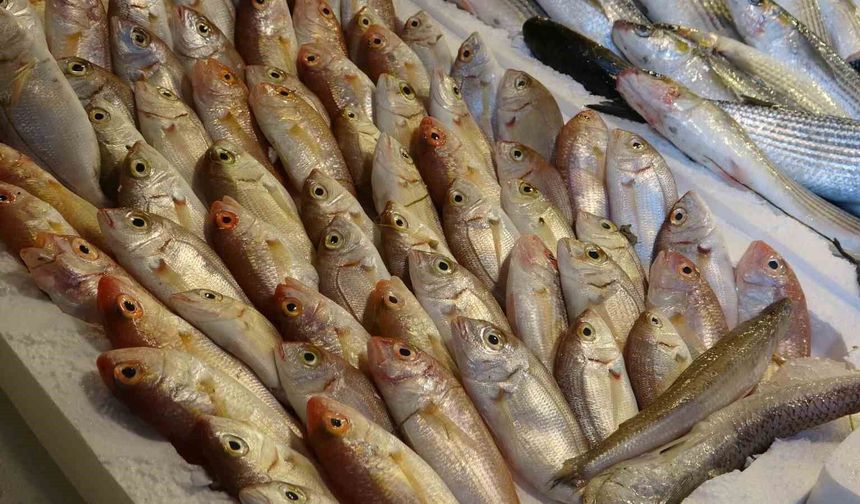 Mersin'de Ramazan'da balık fiyatları düştü, satışlar arttı