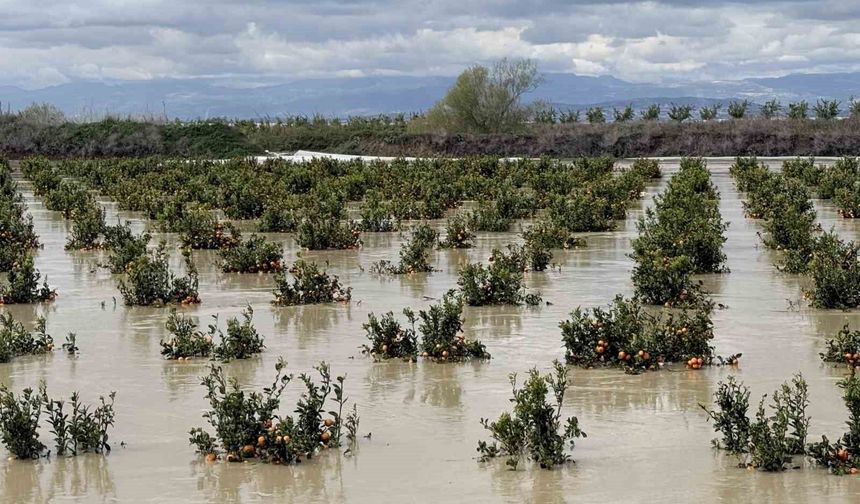 Yağışlar tarım arazilerini vurdu